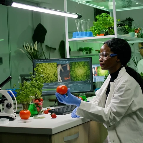 Laboratory and Diagnostic Management
